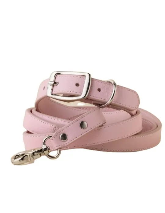 Hot sale Eco-Friendly leather dog collar and leash Leather Pet Collar dog collar leather