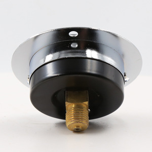 Shanghai Tianchuan Y-100ZT Axial Pressure <b>Gauge</b> 100mm 1.6MPa Flange Type For Hydraulic Pneumatic Water Oil <b>Vacuum</b> - Product Image 1