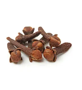 Wholesalers & Wholesale Dealers Of Clove Oil For Aromatherapy
