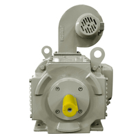 Z4-112/4-1  4KW 160V 990RPM IMB3 IC06 IP21S WPDJ MOTOR DC MOTOR Listrik DIGUNAKAN dalam PAKARAN LISTRIK
