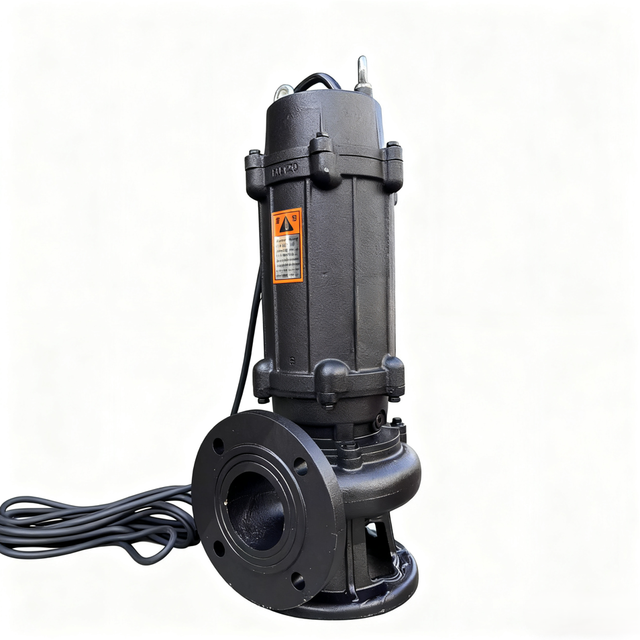 CNP CH Series Warranty Horizontal Seawater Lift Pumps R/O Seawater Desalting System
