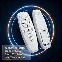 Control Remoto Inalámbrico JCXK de 13 Teclas IR y RF433 para Lámparas LED Inteligentes, Personalizable OEM/ODM