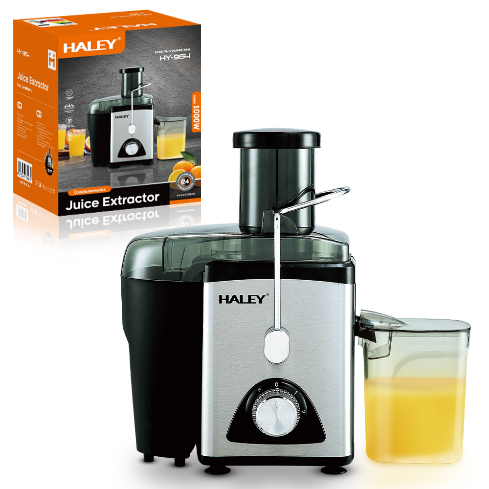 Haley 2-in-1 Stainless Steel Electric Juicer Multifunctional Household Juice Extractor for Fruit for Outdoor Activities Home