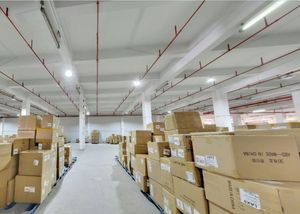 شركة شحن دولي بأسعار منخفضة وسريعة، شحن بحري DDP DDU من الصين إلى الولايات المتحدة/فرنسا، أمازون FBA - Product Image 3