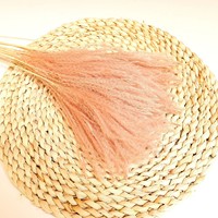 Rumput Sutra Emas Grosir Bunga Kering Alami Kustom Rumput Pampas Mengembang Buket Tanaman Reed Dekorasi Pesta Boho Rumah Pernikahan