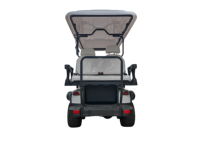 Voiturette de golf électrique 4 places, propulsion arrière, batterie 3,5 kW 60 V, autonomie 80 km, vitesse maximale 30 km/h, carrosserie entièrement injectée, roues en fibre de carbone