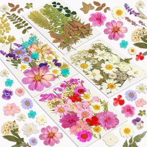 Kit di <span class=keywords><strong>Fiori</strong></span> Naturali Essiccati <span class=keywords><strong>e</strong></span> Pressati Misti, <span class=keywords><strong>Fiori</strong></span> Veri Colorati <span class=keywords><strong>e</strong></span> Piatti per Resina Epossidica, Sottobicchieri, Segnalibri, Custodie per Telefono, Artigianato Fai-da-Te - Product Image 5