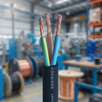 Kabel RVV Konduktor Tembaga Padat Fleksibel dengan Selubung Isolasi PVC Tahan Lama untuk Penyambungan Listrik Dalam Ruangan Bangunan