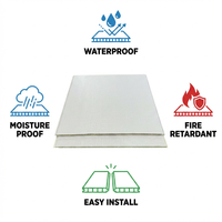 Panel de Techo de PVC Impermeable de 60 cm, Placa de Techo de Plástico Ignífuga de 600 mm, Fácil Instalación, Paneles de Techo de PVC para Interiores para Proyectos