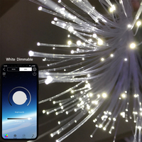 Kit de projecteur LED 6W RGBW avec télécommande APP, source de lumière à fibre optique en aluminium, petit projecteur LED délicat, kit ciel étoilé, 250 fibres optiques