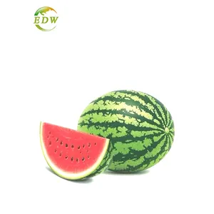 Manufactory Price Bulk 100% Pure Watermelon Juice Powder for Drinking Organic Watermelon Fruit Powder