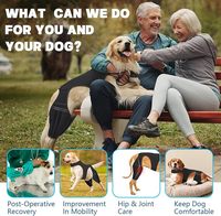 Attelle de genou pour chien de compagnie en gros, pour déchirure du ligament croisé avant, jambe arrière, respirante, attelle de récupération pour genou, soutien pour les pattes arrière, manchon pour pattes arrière