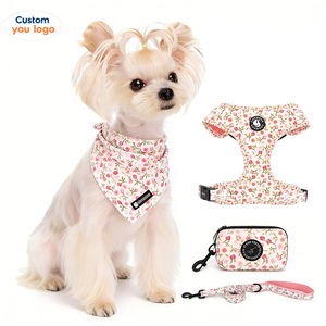 Özel Tasarım Köpek Tasması Seti Marka Logolu Yumuşak Neopren Dolgulu Köpek Tasması Tasarımcı Köpek Tasması ve Tasma Seti - Product Image 1