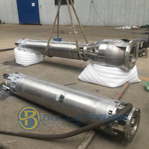 Bomba Sumergible de Acero Inoxidable para Pozos Profundos de 300 m de Altura, 380V-660V, 7.5-410kW, Multietapa, Alta Presión, 9-2500 M/h, 3 - Product Image 3