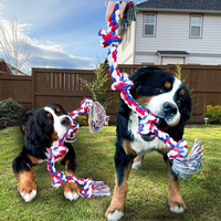 Jouet pour chien en corde de coton robuste et écologique, rayé, original, durable, pour mâcher, interactif, pour tirer, nettoyage dentaire, intérieur/extérieur