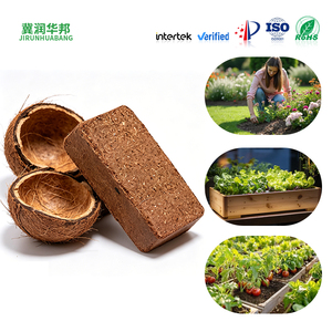 Brique de tourbe de coco compressée à faible teneur en EC, substrat organique pour la plantation de fleurs et de plantes de jardin - Product Image 2