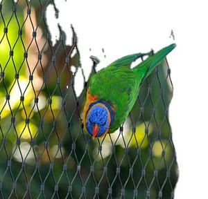 Groothandel Hoge Kwaliteit Draad Gaas/Roestvrij Staal Draad Gaas Net Voor Volière - Product Image 6