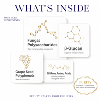 Boisson à l'extrait de champignons fermentés 831 Strain, Fermentation naturelle par micro-organismes, Liquide oral de qualité alimentaire