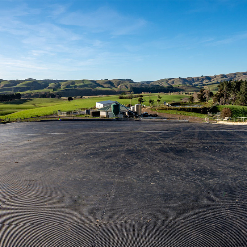 Wholesale Rubber Mats for Cattle Farms