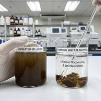 Sulfate ferreux heptahydraté, sulfate de fer, engrais, coagulant pour traitement de l'eau, produits chimiques pour papier, pureté 99%, marque Zhendong