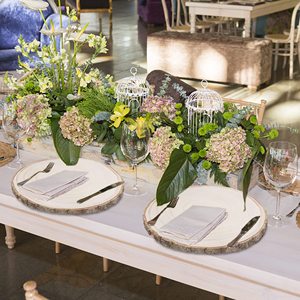 Tự Nhiên dang dở 10-12 Inch Gỗ Lát Mộc Mạc Bằng Gỗ Vòng Tròn Vỏ Cây Cho Hàng Thủ Công Tự Làm Dự Án Gỗ Thủ Công Mỹ Nghệ Bằng Gỗ Hộp Tường Dấu Hiệu - Product Image 5