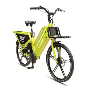 TXED 핫 세일 전기화물 자전거 250W 15Ah 장거리 전기 가족 배달 자전거 2 바퀴화물 전자 자전거