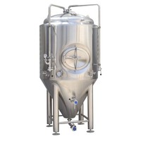 Réservoir de fermenteur de bière conique monocouche 300L avec PLC de récipient à pression de pompe et fermenteur de brassage de qualité de moteur à vendre
