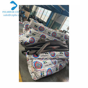 Unità di Refrigerazione Industriale Moderna con Compressore a Vite Raffreddato ad Aria per Celle Frigorifere - Product Image 4