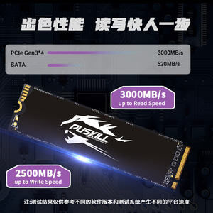 Puskill <b>M.2</b> <b>Ssd</b> <b>Nvme</b> 256G 512G Pcie Gen3x4 3000Mb S Read Speed - Product Image 1