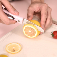 Keukenartikel Klein Vouwmes Draagbaar Fruitsnijgereedschap Met Plastic Handvat