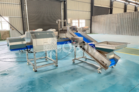 Groentefruit Half Split Cutter 304 Roestvrij Staal Half Snijmachine Voor Citroenkool Tomatenpeper Motor Cherry Tomaatjes