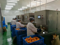 Automatische Industriële Sinaasappelschiller Machine Auto Commerciële Roestvrijstalen Elektrische Sinaasappelen Huidschil En Juicer Te Koop