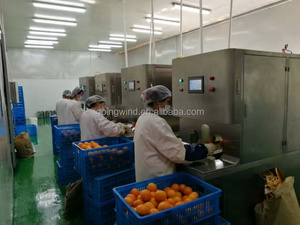 Machine à éplucher les oranges industrielle automatique peler la <span class=keywords><strong>peau</strong></span> d'oranges électrique en acier inoxydable commerciale automatique et presse-agrumes en vente - Product Image 2