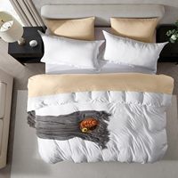 Ensemble de housse de couette Queen pré-lavée, blanc, 3 pièces, facile d'entretien, rafraîchissant, fermeture éclair, 1 housse de couette, 2 taies d'oreiller