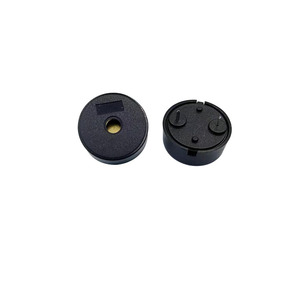 Transductor Piezoeléctrico Externo de 17 mm, 5 V, 12 V, 4000 Hz con Pines - Product Image 1