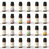 Huiles Essentielles Naturelles de Plantes en Gros à Bas Prix 10ml Huile de Lavande Menthe Poivrée pour Aromathérapie Soins de la Peau Massage Savon Bougie