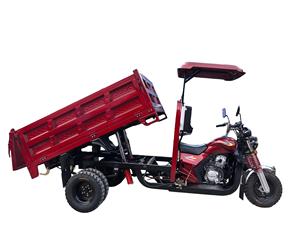 Nouvelle Arrivée 2026 Tricycle Moto 300CC à Essence 5 Roues Auto-chargeur pour Passagers et Marchandises, Charge Lourde, Haute Vitesse - Product Image 2