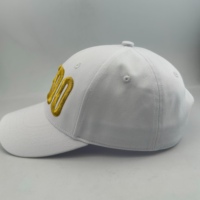 Casquette de baseball en denim personnalisée de haute qualité, 6 panneaux, unisexe, broderie 3D angulaire, casquette de pêche, de cyclisme, de performance