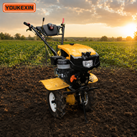 Mini Cultivadora a Gasolina de Accionamiento Directo OEM Personalizada, Arranque Rápido, Baja Vibración, Repuestos Gratuitos para Egipto y Argelia, Proveedor Confiable