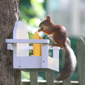 JUNJI Alimentador De Ardilla De Madera Exterior Banco Blanco <span class=keywords><strong>Silla</strong></span> Alimentador De Mascotas Durable Squrill Mesa De Picnic Soporte De Mazorca De Maíz Ardilla - Product Image 6