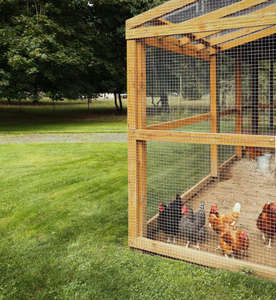 10 गेज गर्म डूबा गैल्वेनाइज्ड स्टील बुना हुआ तार पशु पालतू जानवरों के लिए सादे स्टेनलेस स्टील वेल्डेड तार बाड़ लगाना जाल - Product Image 2