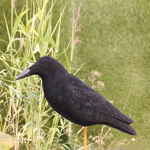 توافدت الأسود البلاستيك Crows الحلي ل تخيف الطيور البلاستيك Crow الطيور المخيفة