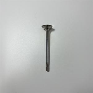 Stzt Katup Buang Masukan Mesin 6420530401 6420500527 untuk Mercedes Benz C320 C350 CLK320 CDI OM642 3.0 Diesel - Product Image 5