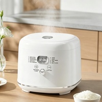 Cuisinière à riz électrique en acier inoxydable 5L 900W avec fonction de conservation de la chaleur 24h et fonction de maintien au chaud automatique, ouverture du couvercle en un clic