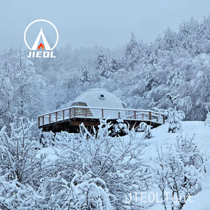 Tienda iglú de PVC transparente económica-4m para acampar al aire libre en jardines y resorts, logotipo personalizable - Product Image 5