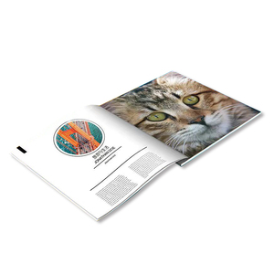 Thời trang FLYER Tạp Chí Danh Mục dịch vụ in ấn Glossy cán giá rẻ Flyer tập sách/gấp thẻ - Product Image 3