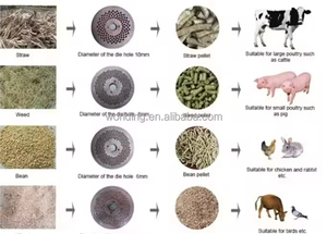 Broyeur de granulés d'aliments pour volailles, poulets, canards, oies, bétail, poissons, crevettes, bovins, chevaux, moutons, porcs, lapins, granulateur - Product Image 3