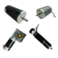 Moteur CC à Balais de Bonne Qualité, Taille 30-110mm, Personnalisable, Couple Élevé, 12V 24V 36V 48V 60V 220V, 15W 50W 100W 200W 300W 500W 1000W