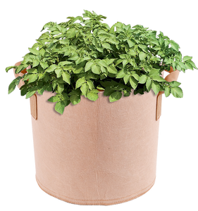 Lot de 10 sacs de culture respirants en tissu non tissé de 1 gallon avec poignées, robustes, pour légumes, tomates et fruits - Product Image 1