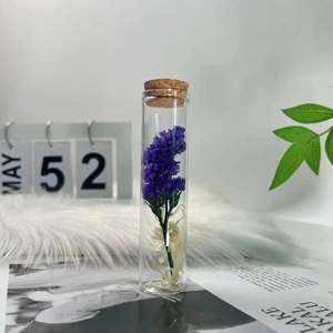 Tube à essai de roses séchées bouquet de fleurs séchées en verre petits ornements spécimen de plante diy pour le cadeau de la fête des enseignants - Product Image 4